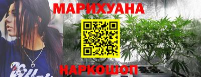 крисы Чебоксары