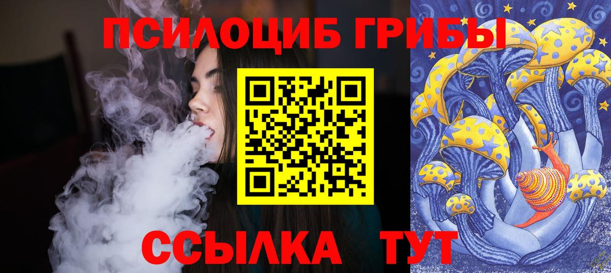 Галлюциногенные грибы GOLDEN TEACHER  Галлюциногенные грибы MAGIC MUSHROOMS  Вход с VPN  Ачхой-Мартан 